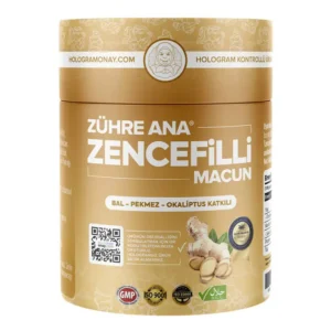 GINGER PASTE 240 G